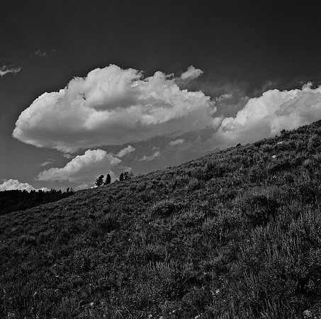 7549_B3P1_5_BW_SQ_MT_01_2.jpg