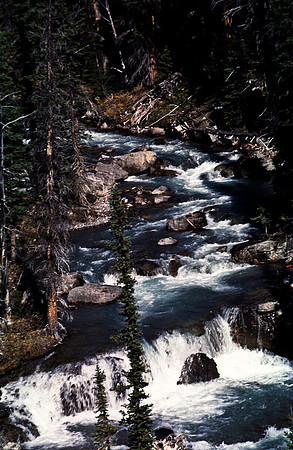 06833_B19_SL_COLOR_SASKATCHEWAN_RIVER_CROSSING_ICEFIELD_HWY93_TO_JASPER_BC_WS_97_14.jpg