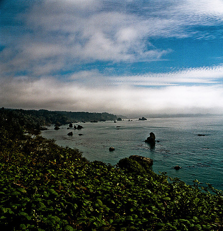 6045_FM_COLOR_SQ_CALIFORNIA_USA_05_4.jpg