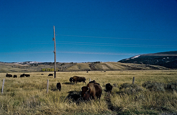 6087_FM_COLOR_ASPEN_TO_INDEPENDENT_CO_05_19.jpg