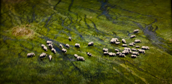 2905_DG_Lincoln_Road_Mouvie_Earth_Maimi_Beach_FL20090426-5L8Y6911