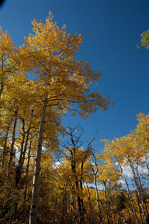 20080829_DVD15_DG_USA_Aspen_2152_full_blead