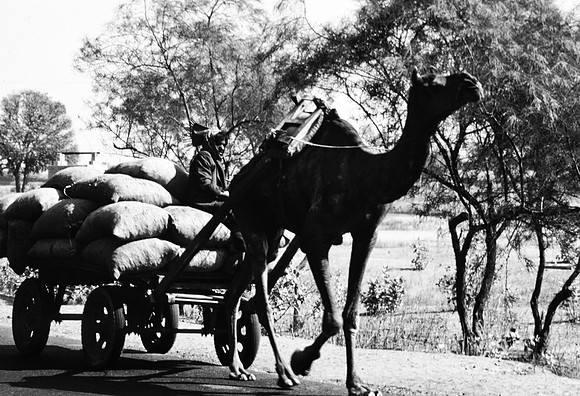 47283_SL_COLOR_INDIA_1987_5