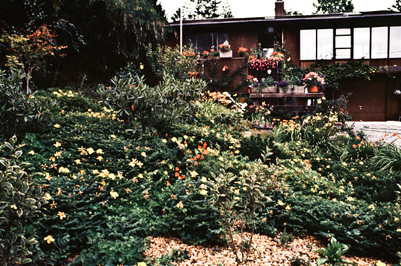 2545_SL_BOX_I_COLOR_OVKA_VICTORIA_CANADA_1
