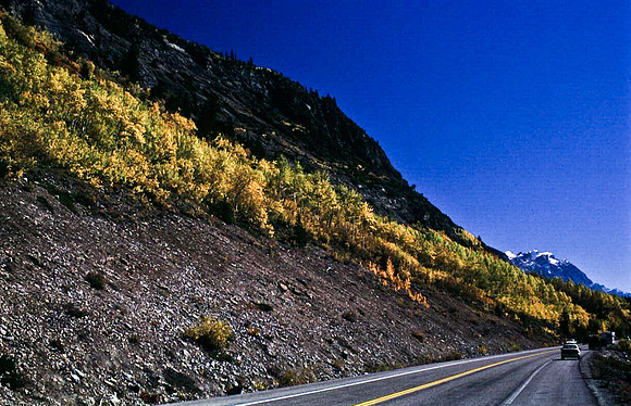 06833_B19_SL_COLOR_SASKATCHEWAN_RIVER_CROSSING_ICEFIELD_HWY93_TO_JASPER_BC_WS_97_19.jpg