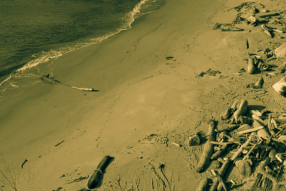 5L8Y0775
