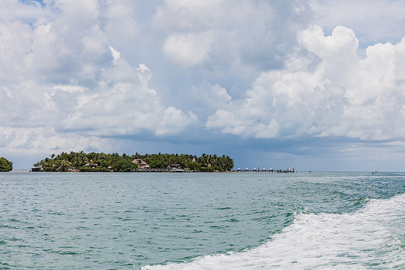 20160714_Key_West_Little_Palm__75A0650