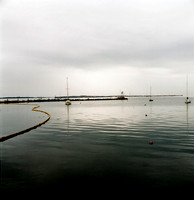 7816_B_FM_COLOR_SQ_Mistic_CT_2004_1.jpg