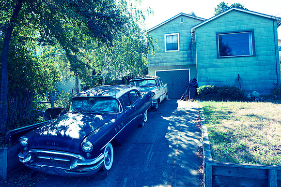 0024_DG_Corta_Madera_CA_USA_20095L8Y0260