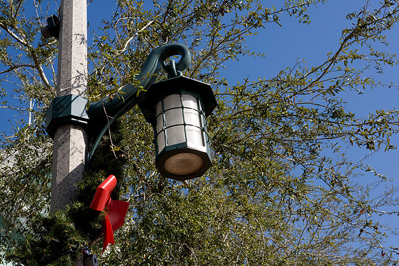 36201_DG_Color_USA_Osceola_County_Celebration_Town_FLZV4N7280-1