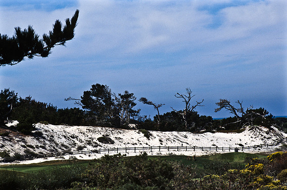 47938_B17_SL_COLOR_17M_DRIVE_CA_97_ CARMEL_CA_97_12.jpg
