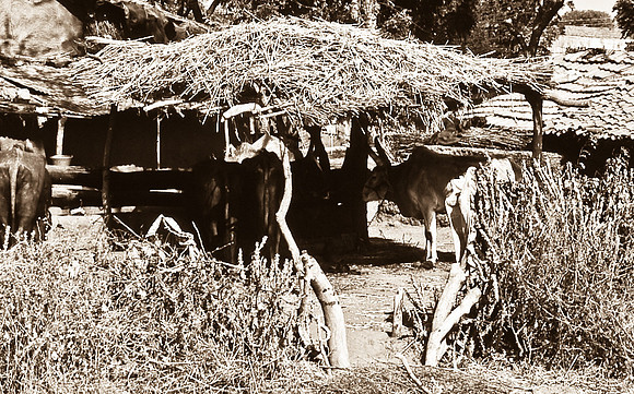 47284_SL_COLOR_INDIA_1987_1