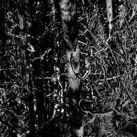 7571_FM_BW_CA_01_4.jpg