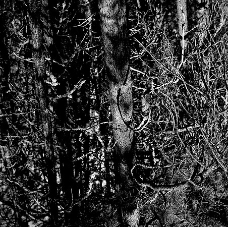 7571_FM_BW_CA_01_4.jpg