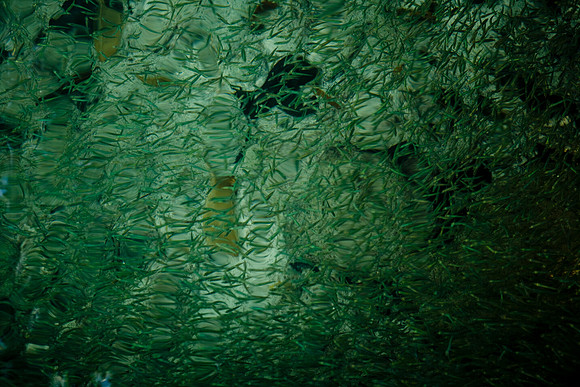 36172_DG_Color_USA_Harbour_Island_Bahamas_Related_GroupZV4N0943