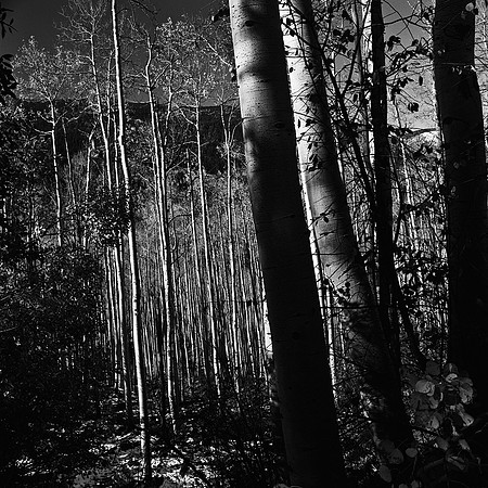 6098_FM_BW_INDEPENDENCE_CO_05_6.jpg