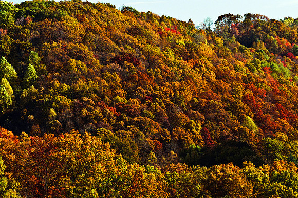 0258_FM_COLOR_MINESOTA_99_62.jpg