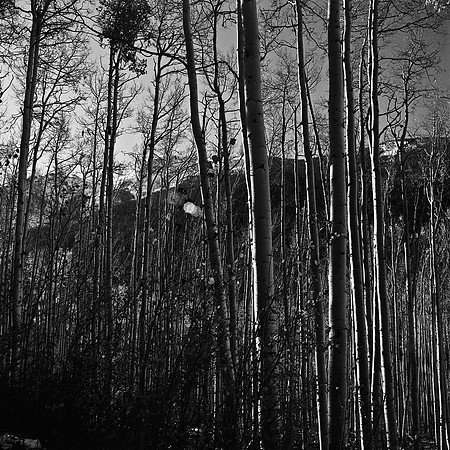 6098_FM_BW_INDEPENDENCE_CO_05_1.jpg