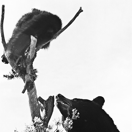 6096_FM_BW_INDEPENDENCE_CO_05_3.jpg