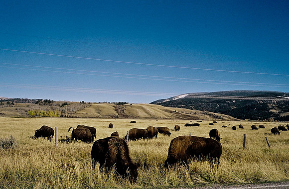 6087_FM_COLOR_ASPEN_TO_INDEPENDENT_CO_05_14.jpg