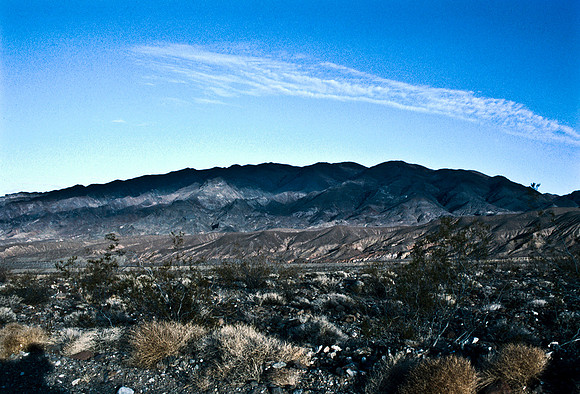 47924_B17_SL_COLOR_LOS_ANGELES_CA_97_01.jpg