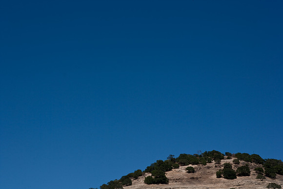 36355_DG_COLOR_NAPA_VALLEY_CALIFORNIA_CA_USA_2007_ZV4N_2363