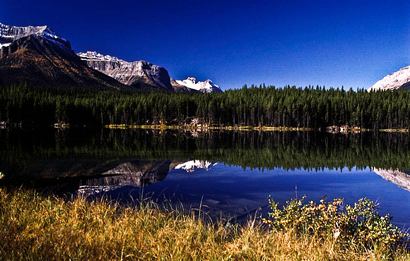 06827_B19_SL_COLOR_LAKE_LOUIS_TO_JASPER_HWY93_BANFF_NAT_PARK_WS_97_18.jpg
