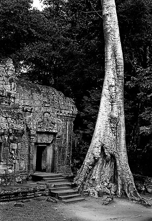 62456_2008_FM_BW_Temples_SlemReap_Cambodia_014