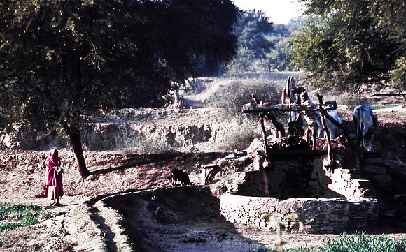 47300_SL_COLOR_INDIA_1987_12