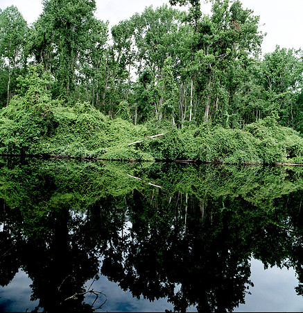7820_FILM_COLOR_LR_STONINGTON_USA_CT_6.jpg