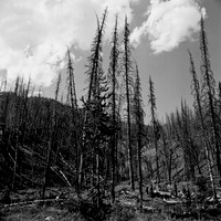 7550_B4P3_BW_LOS_ANGELES_CA_01.jpg