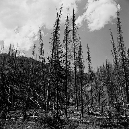 7550_B4P3_BW_LOS_ANGELES_CA_01.jpg