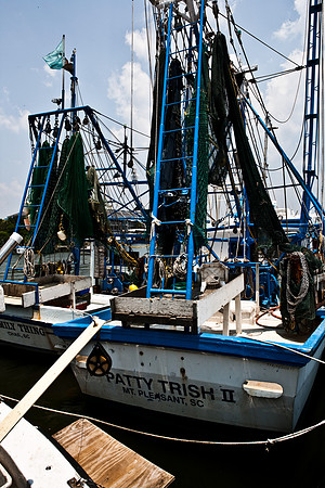 06573_DG_COLOR_MOUNT_PLEASANT_SOUTH_CAROLINA_SC_USA_2007_ZV4N1305
