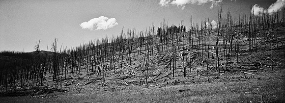 7551_FM_BW_XPAND_AZ_01_20.jpg