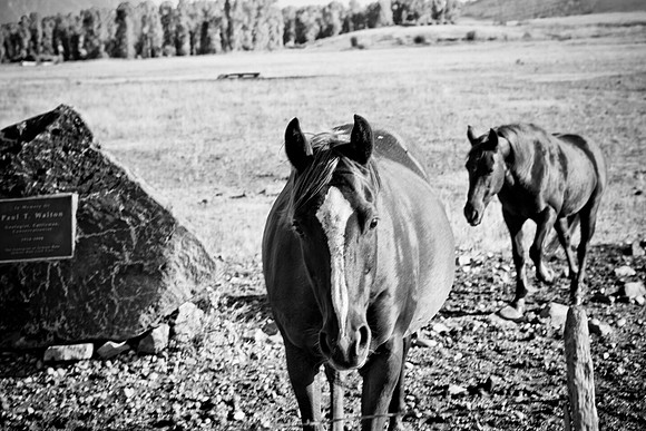 0020_Wyonming_To_Ketchem_Sun_Valley_ID_5L8Y7439