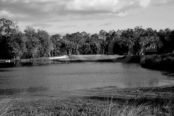 36203_DG_BW_USA_Osceola_County_Celebration_Town_FLZV4N7852