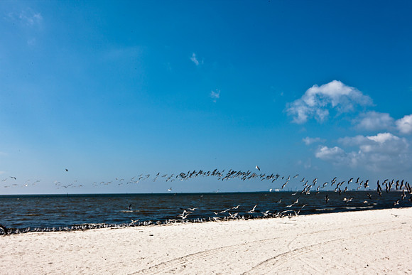0036-NEW_ORLEANS_TO_PANAMA_CITY_BEACH_5L8Y1141