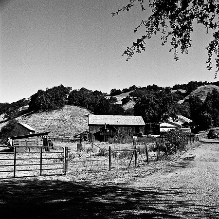 6036_FM_BW_PASO_ROBLES_CA_05_2.jpg