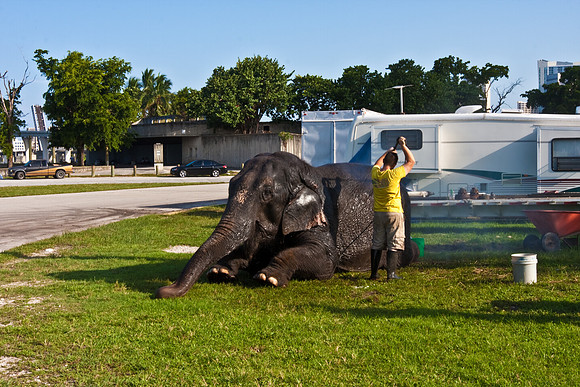 42586_Miami_Brickell_Circus_FL_20080816_IMG_3862
