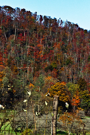 0336_FM_COLOR_MINESOTA_99_15.jpg