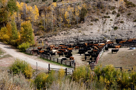 200828_DVD12_DG_USA_Aspen_1587_full_blead