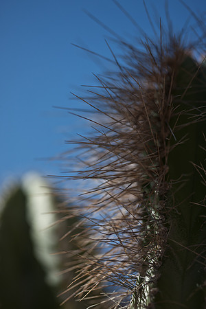 0031_La_Arizona_5L8Y5598