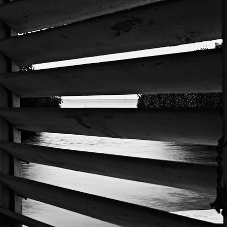 33722_FILM_BW_LR_BANANAJACK_USA_FL_0407.jpg