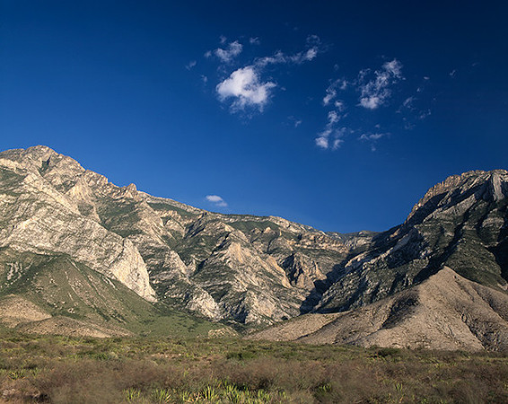 4000_20080719_ADS_Mexican_Landscape_Mexico_208