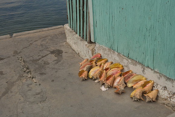 36174_DG_Color_USA_Harbour_Island_Bahamas_Related_GroupZV4N1214