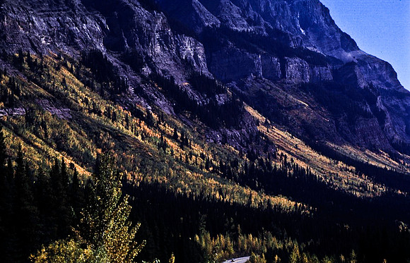 06833_B19_SL_COLOR_SASKATCHEWAN_RIVER_CROSSING_ICEFIELD_HWY93_TO_JASPER_BC_WS_97_08.jpg