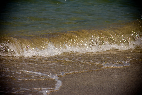 85766_FL_DG_IMG_2830