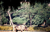 47306_SL_COLOR_INDIA_1987_7