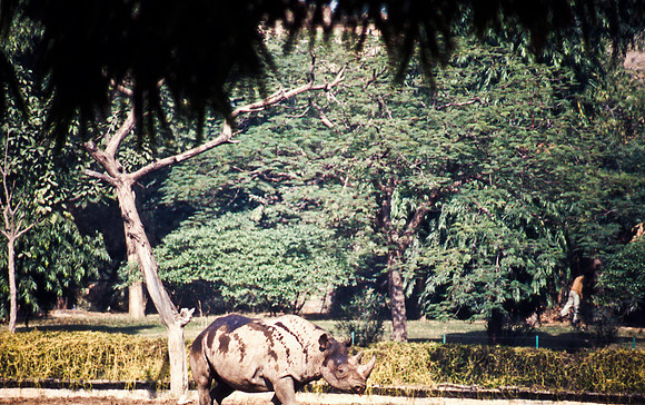 47306_SL_COLOR_INDIA_1987_7