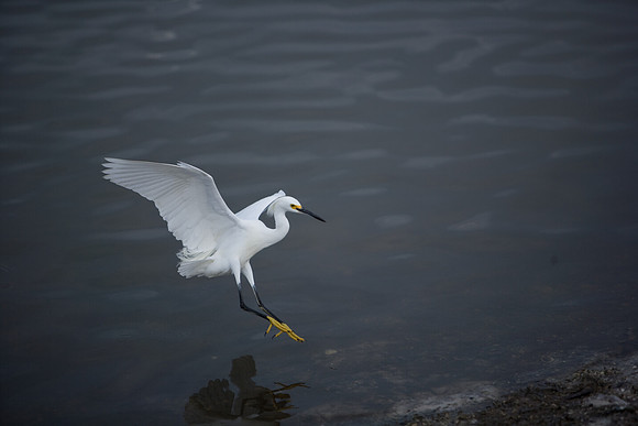 85545_ZV4N_7129_Miami_To_Sanibel_Island_FL